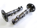 Double POWER CAM camshaft