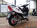 TIGRA 125 SNAKE CORN 大蛇 R5-SP(カーボン)
